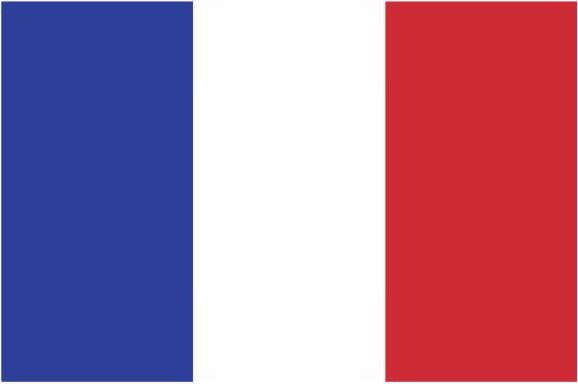 National France flag. Vector illustration. Official colors and proportion correctly.